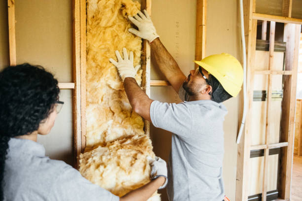 Best Insulation Replacement Services  in Birchwood Lakes, PA