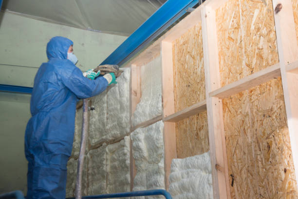 Best Local Insulation Services  in Birchwood Lakes, PA